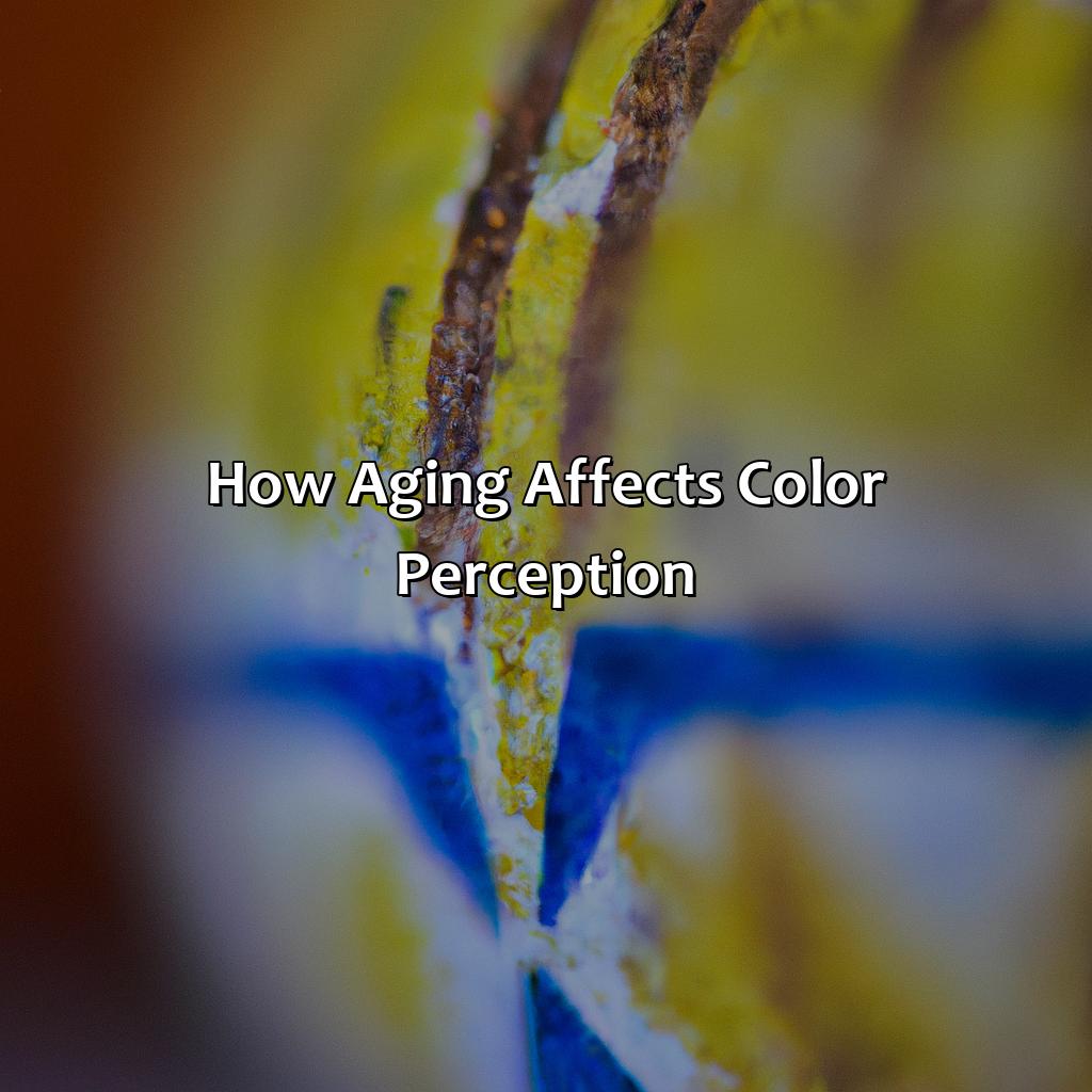 How Aging Affects Color Perception  - As People Age, What Alters Their Perception Of Color?, 