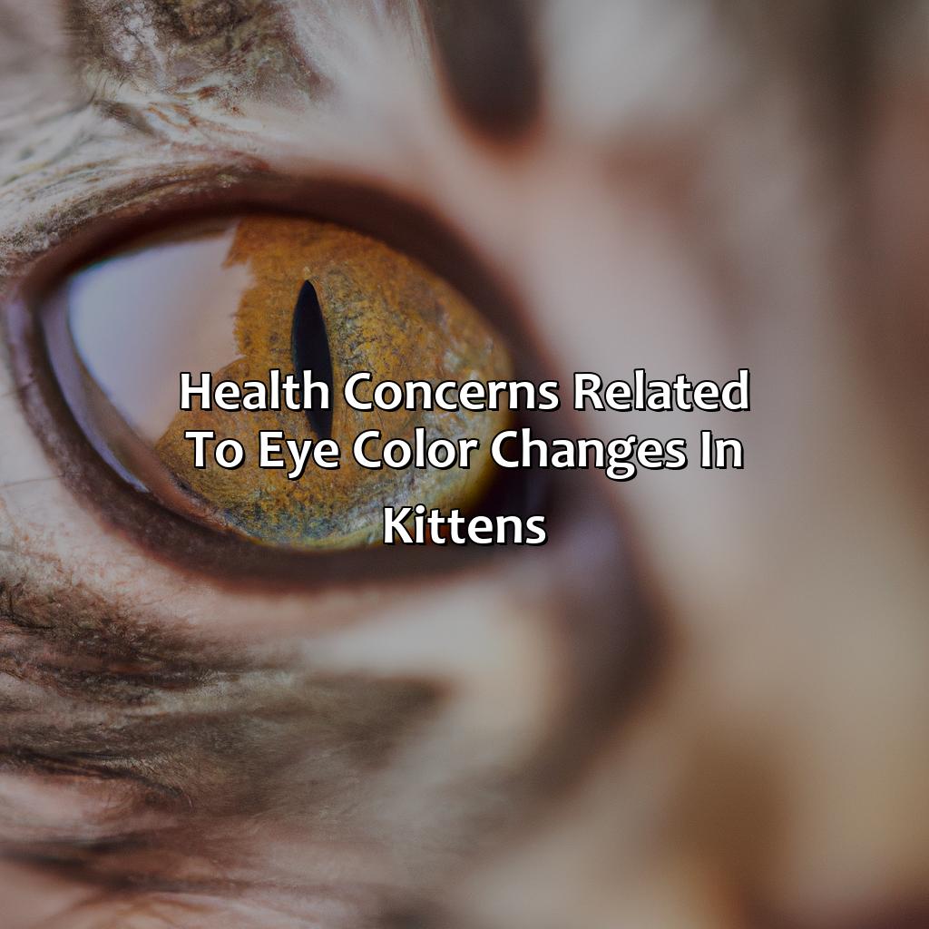 Health Concerns Related To Eye Color Changes In Kittens  - At What Age Do Kittens Eyes Change Color, 