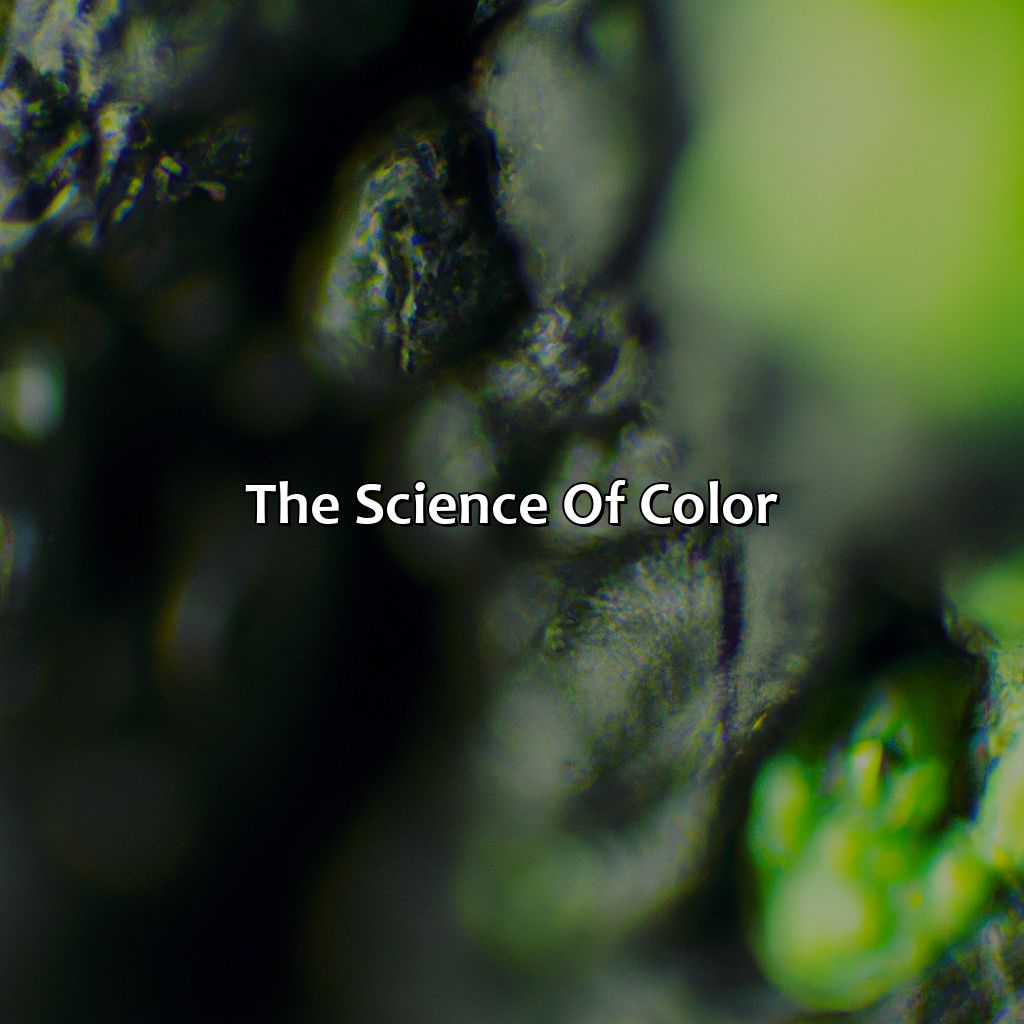 The Science Of Color  - Black And Green Make What Color, 