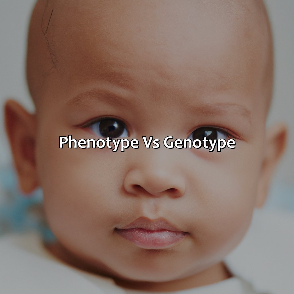 Phenotype Vs. Genotype  - Black Father White Mother What Color Will The Baby Be, 