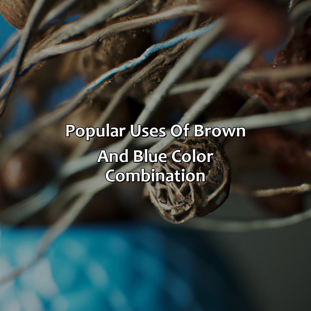 Popular Uses Of Brown And Blue Color Combination  - Brown And Blue Is What Color, 
