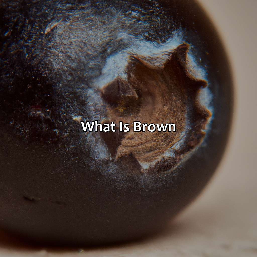 What Is Brown?  - Brown And Blue Is What Color, 