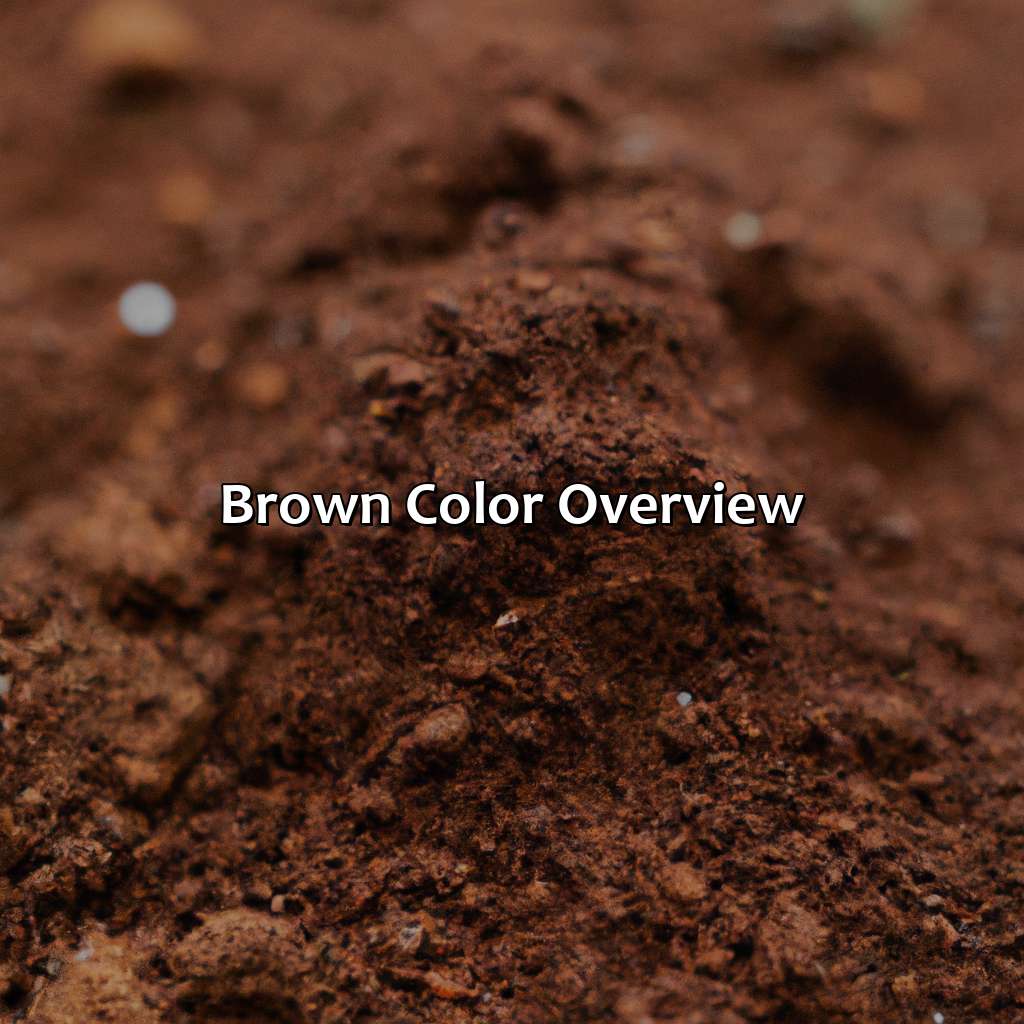 Brown Color Overview  - Brown Goes With What Color, 