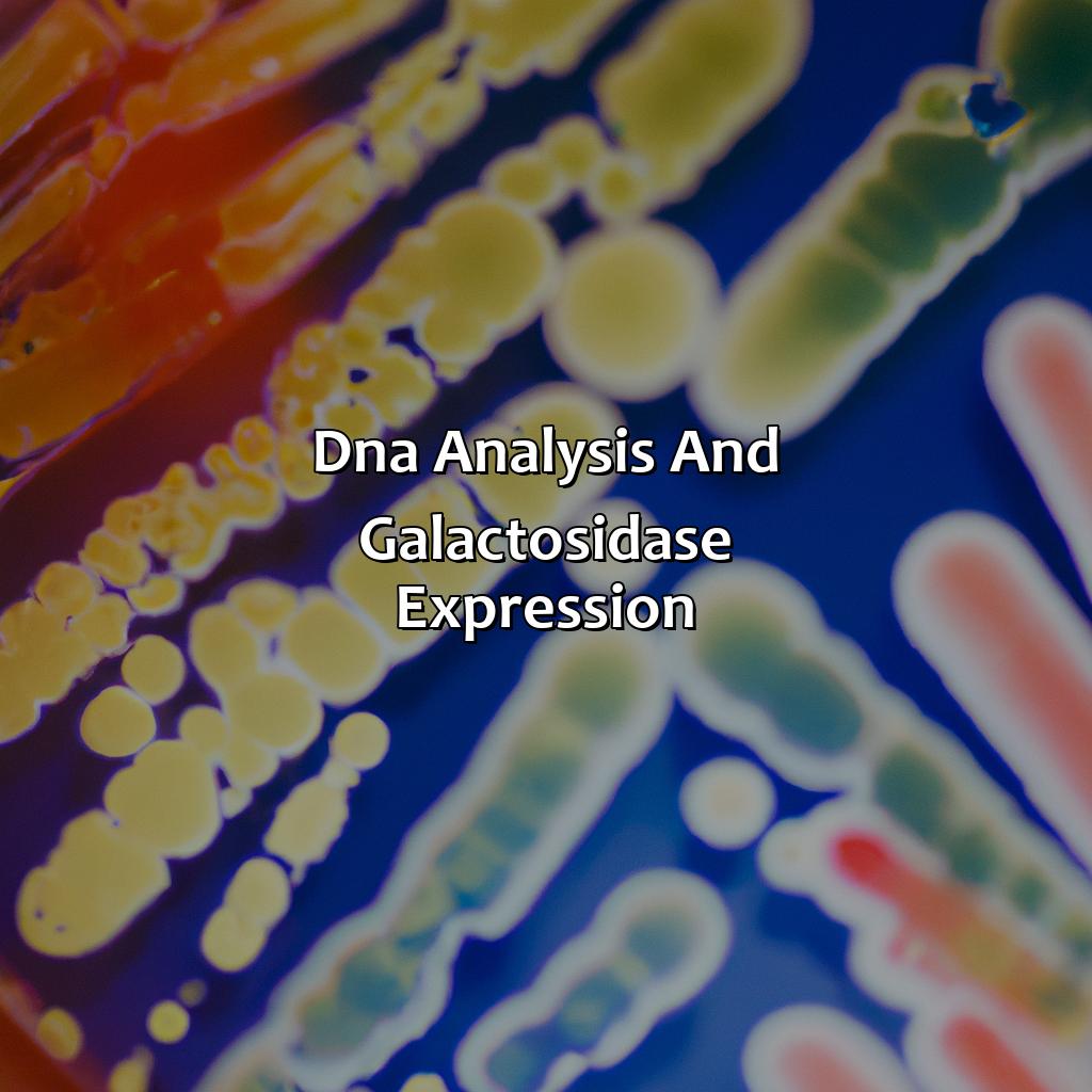 Dna Analysis And ?-Galactosidase Expression  - Colonies Of What Color Are Produced By Cells With Functioning Copies Of ?-Galactosidase?, 