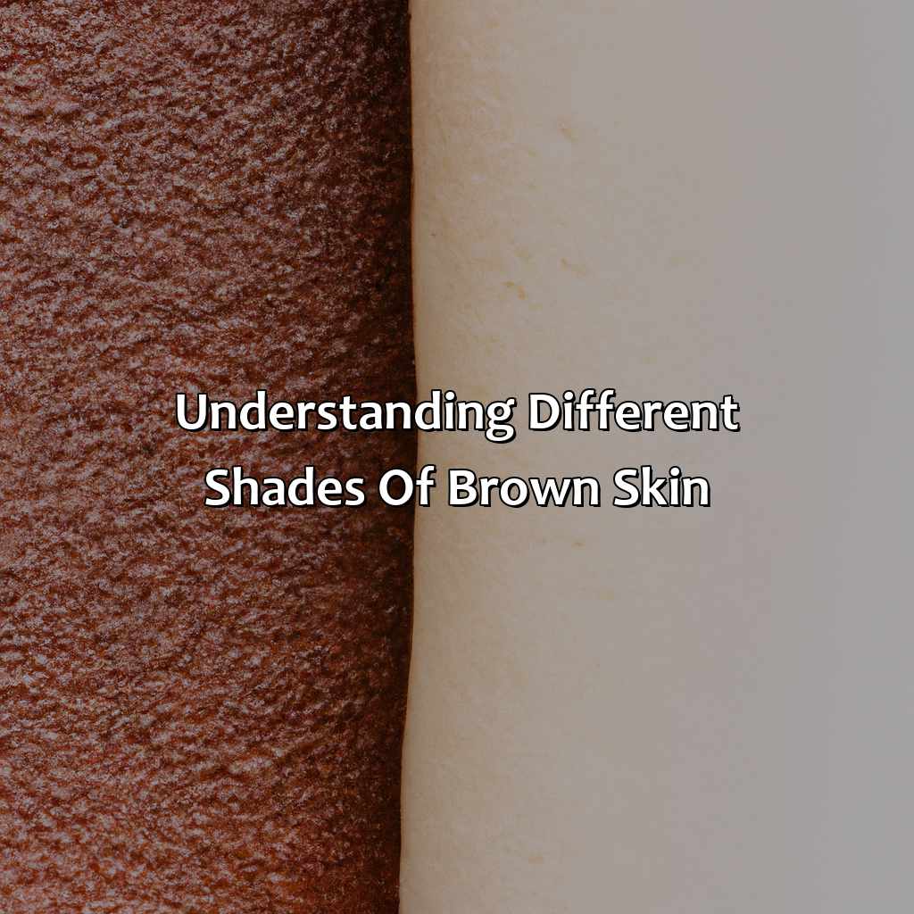 Understanding Different Shades Of Brown Skin  - Different Shades Of Brown Skin, 