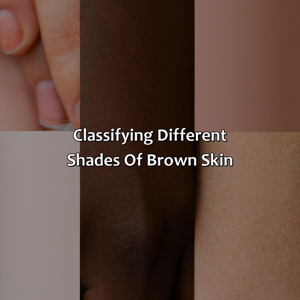 Classifying Different Shades Of Brown Skin  - Different Shades Of Brown Skin, 