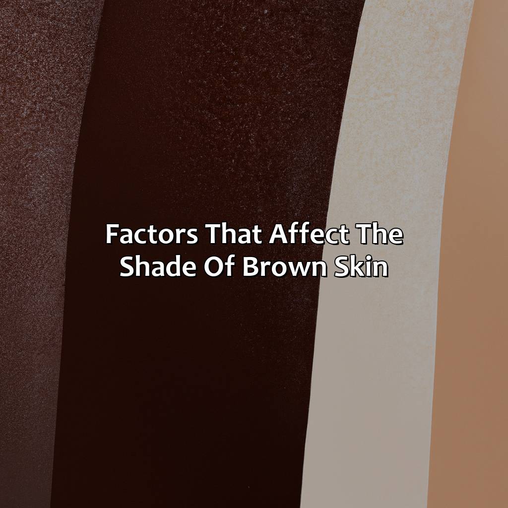 Factors That Affect The Shade Of Brown Skin  - Different Shades Of Brown Skin, 