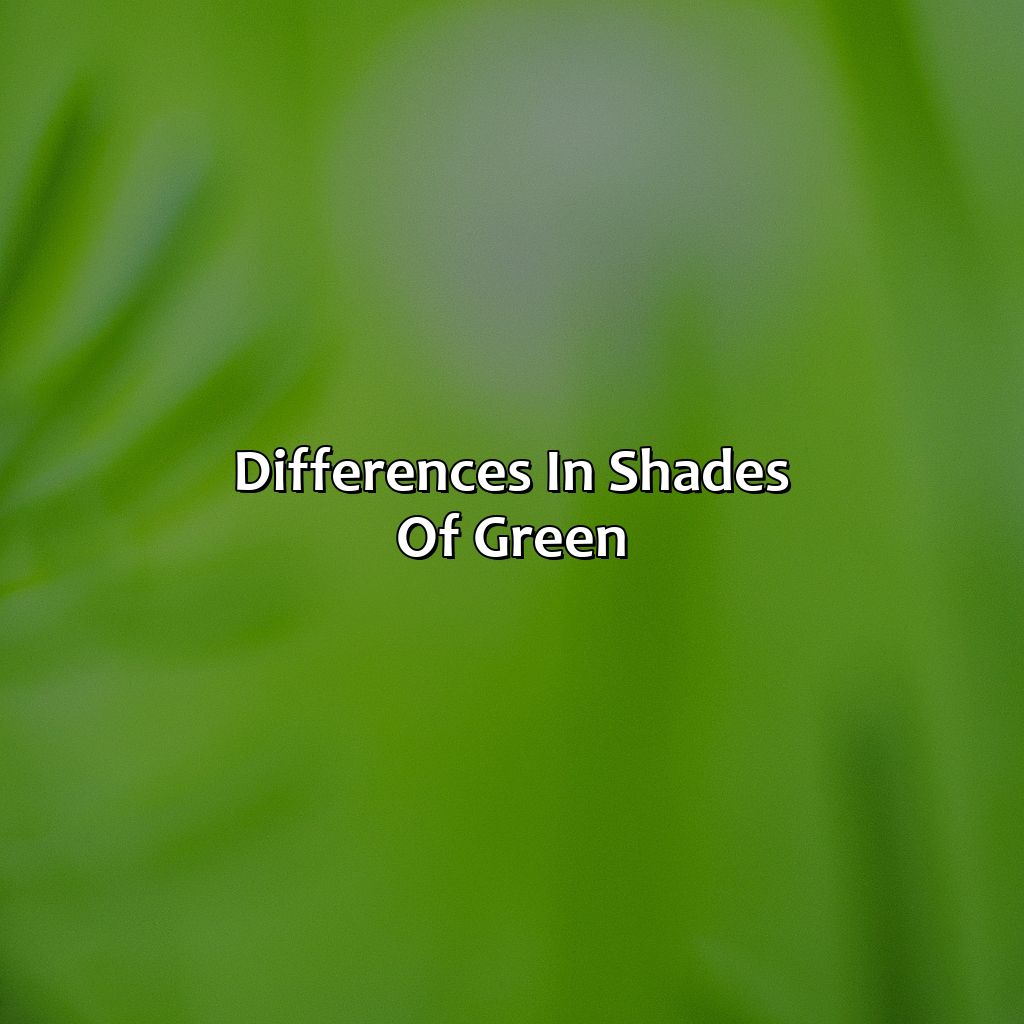 Differences In Shades Of Green  - Different Shades Of Green, 