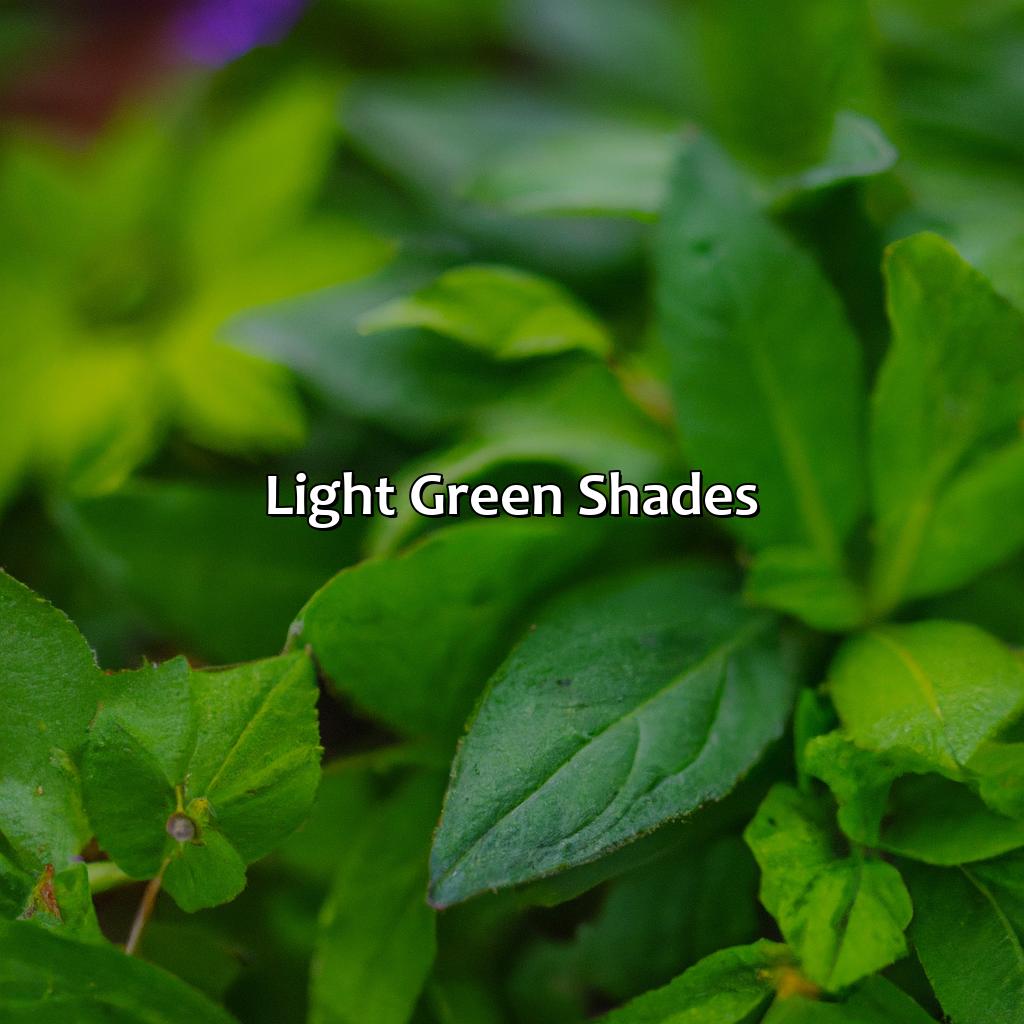Light Green Shades  - Different Shades Of Green, 