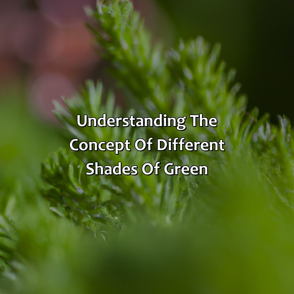 Understanding The Concept Of Different Shades Of Green  - Different Shades Of Green, 