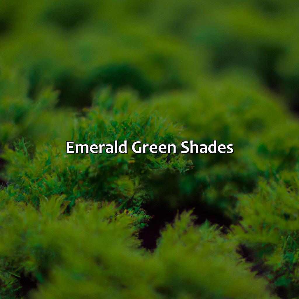 Emerald Green Shades  - Different Shades Of Green, 