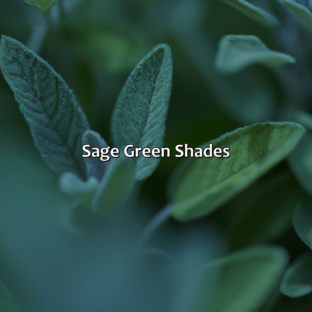 Sage Green Shades  - Different Shades Of Green, 