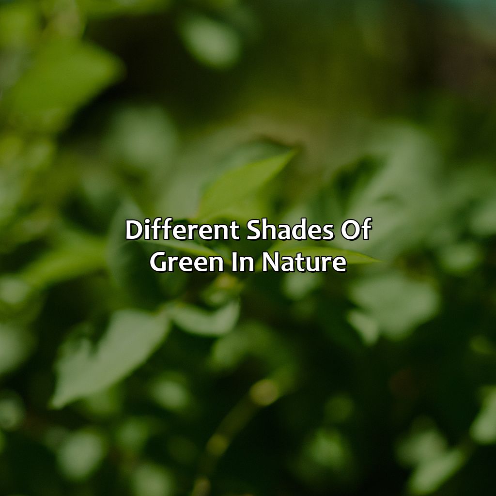 Different Shades Of Green In Nature - Different Shades Of Green, 