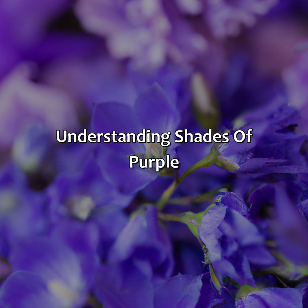 Understanding Shades Of Purple  - Different Shades Of Purple, 
