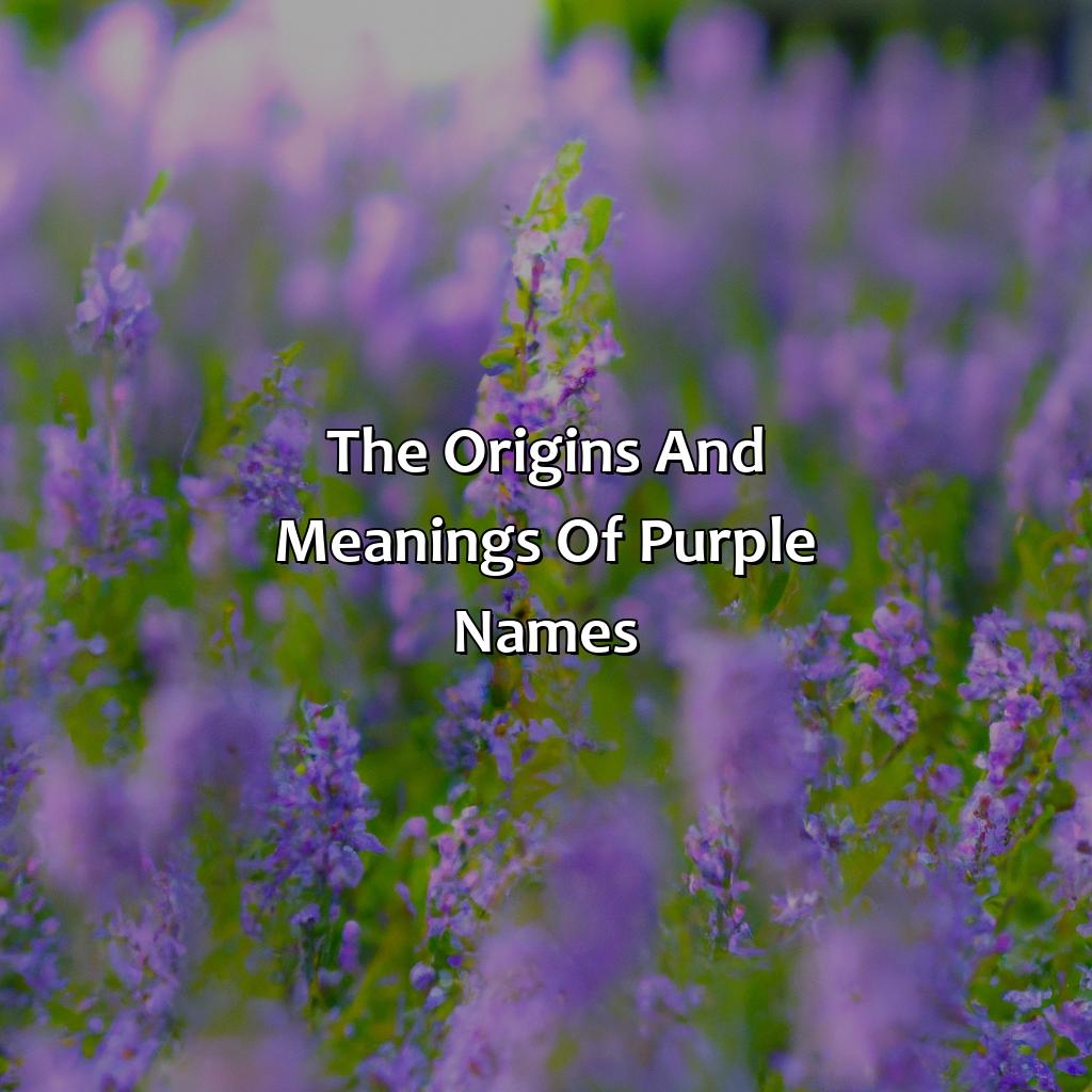 The Origins And Meanings Of Purple Names  - Different Shades Of Purple Names, 