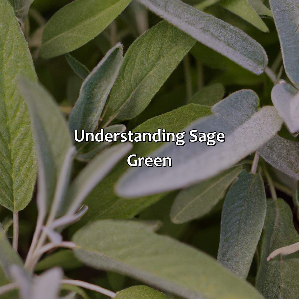 Understanding Sage Green  - Different Shades Of Sage Green, 