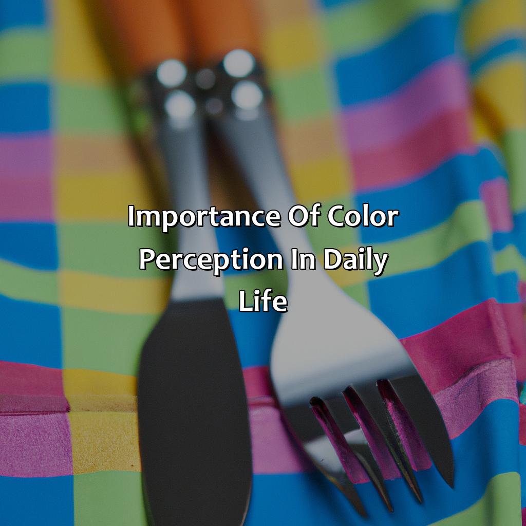 Importance Of Color Perception In Daily Life  - Fork Spoon Knife What Color Is My Shirt, 
