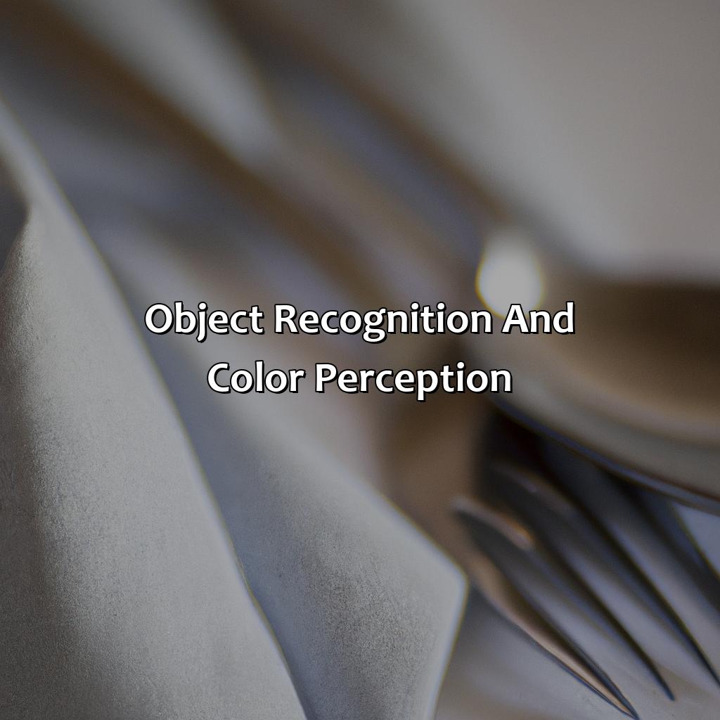 Object Recognition And Color Perception  - Fork Spoon Knife What Color Is My Shirt, 