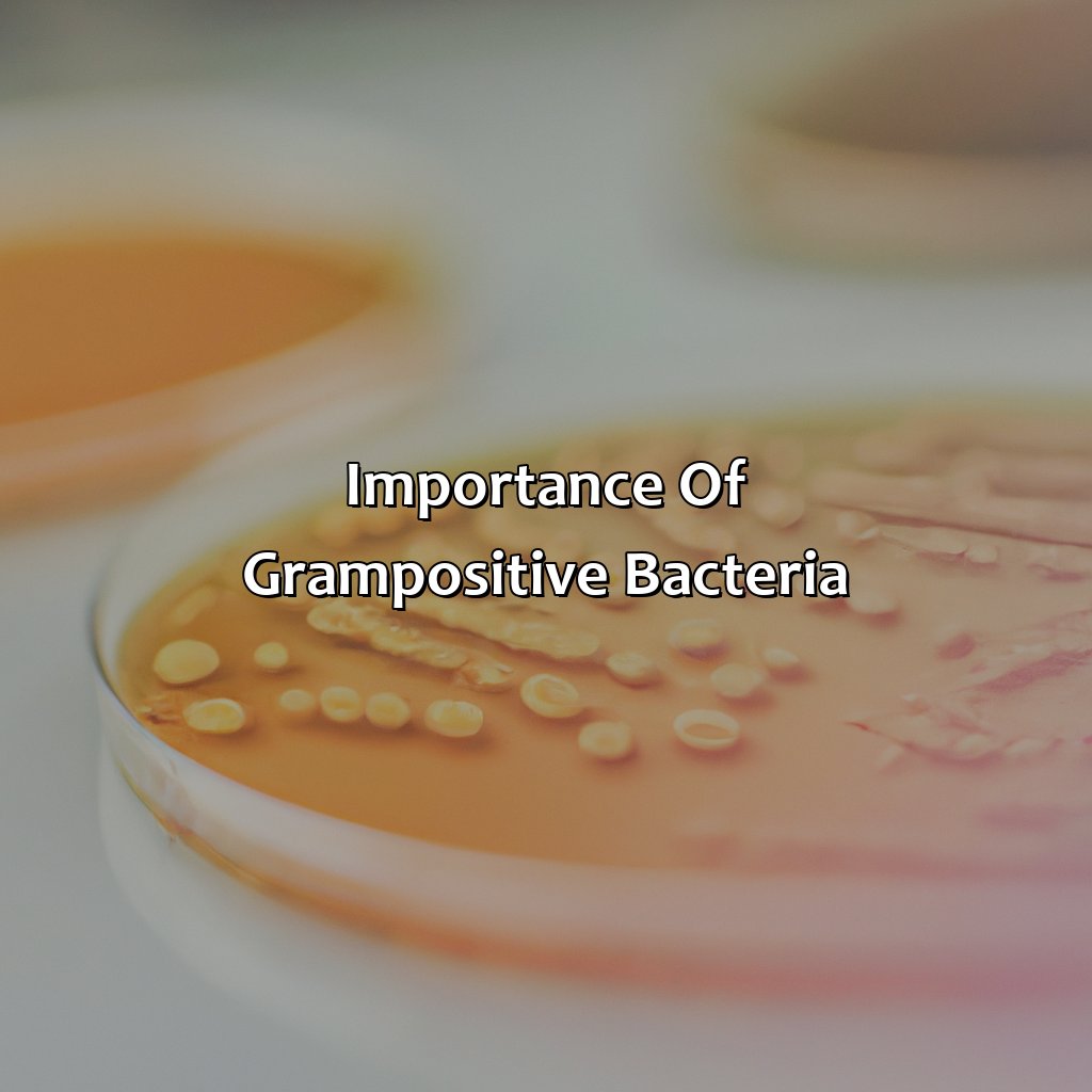 Importance Of Gram-Positive Bacteria  - Gram Positive Is What Color, 