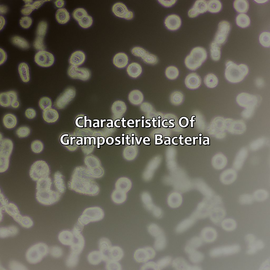 Characteristics Of Gram-Positive Bacteria  - Gram Positive Is What Color, 