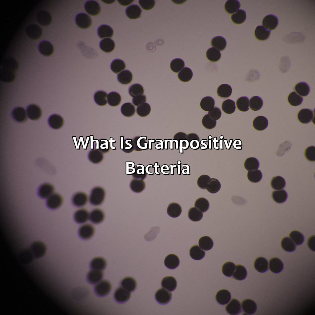 What Is Gram-Positive Bacteria?  - Gram Positive Is What Color, 