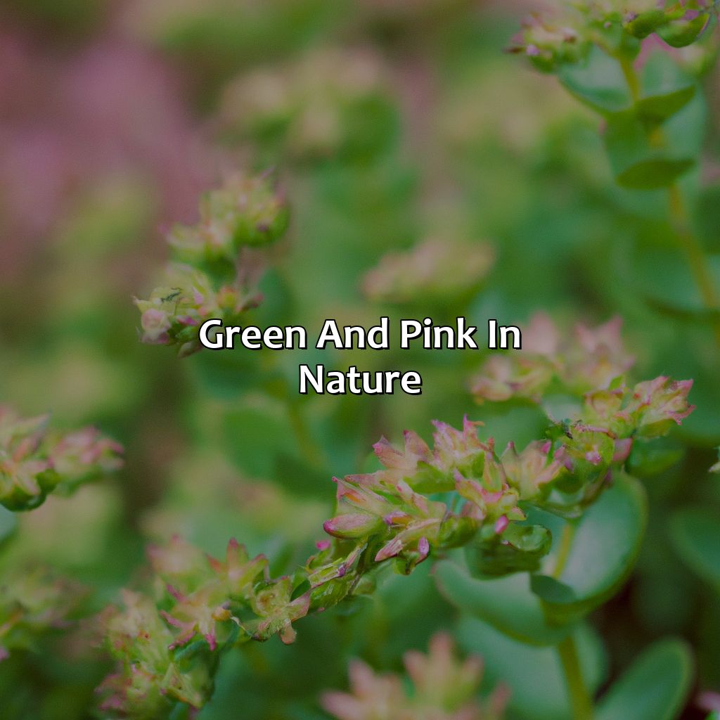 Green And Pink In Nature  - Green And Pink Is What Color, 