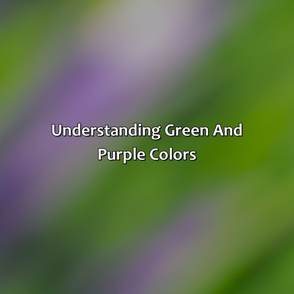 Understanding Green And Purple Colors  - Green And Purple Is What Color, 