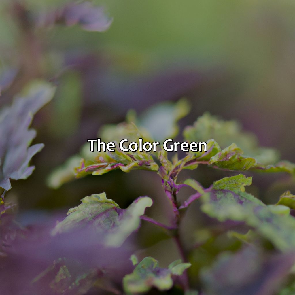 The Color Green  - Green And Purple Make What Color, 