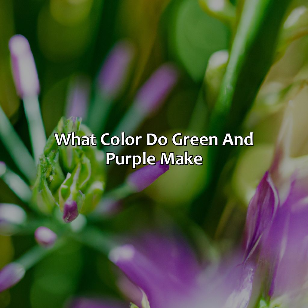 What Color Do Green And Purple Make?  - Green And Purple Make What Color, 