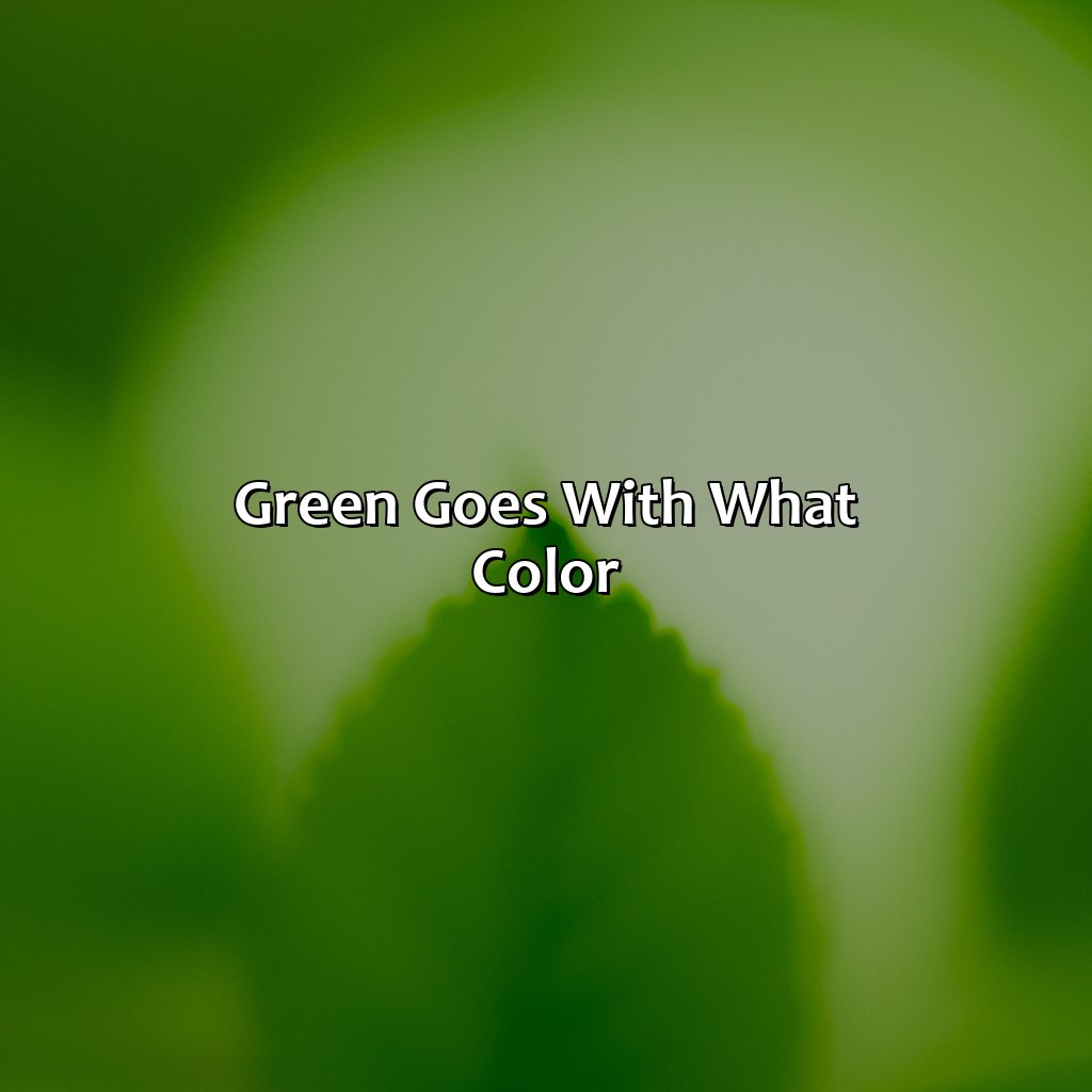 Green Goes With What Color - colorscombo.com