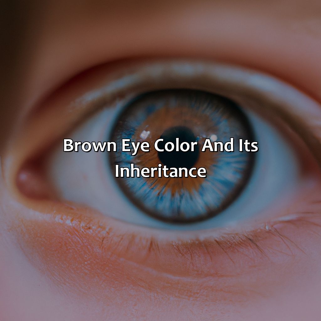 Brown Eye Color And Its Inheritance  - If I Have Brown Eyes And My Husband Has Blue Eyes, What Color Eyes Will Your Child Have, 