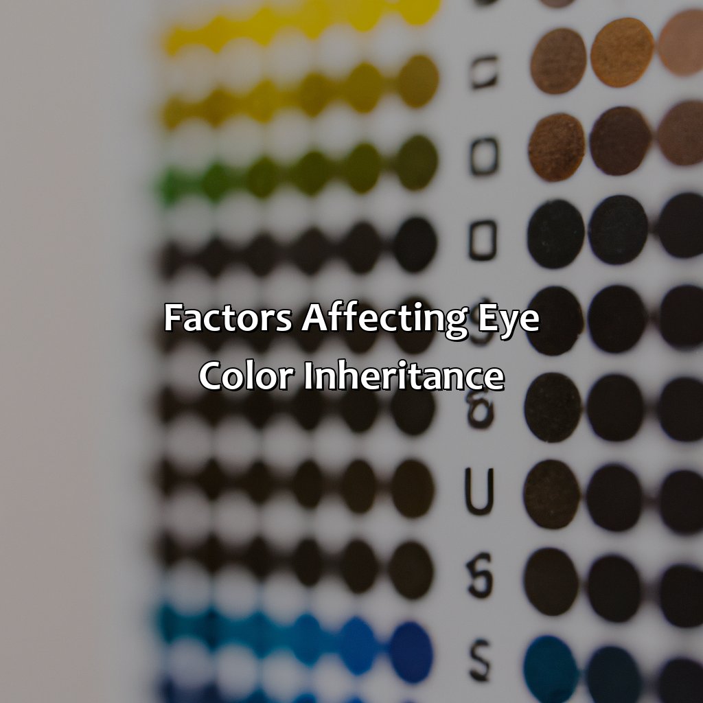 Factors Affecting Eye Color Inheritance  - If I Have Brown Eyes And My Husband Has Blue Eyes, What Color Eyes Will Your Child Have, 