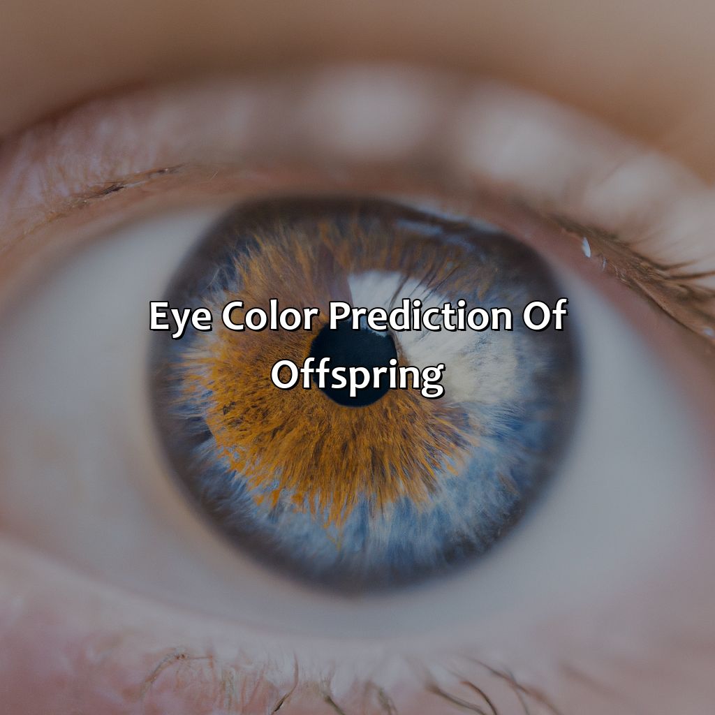 Eye Color Prediction Of Offspring  - If I Have Brown Eyes And My Husband Has Blue Eyes, What Color Eyes Will Your Child Have, 