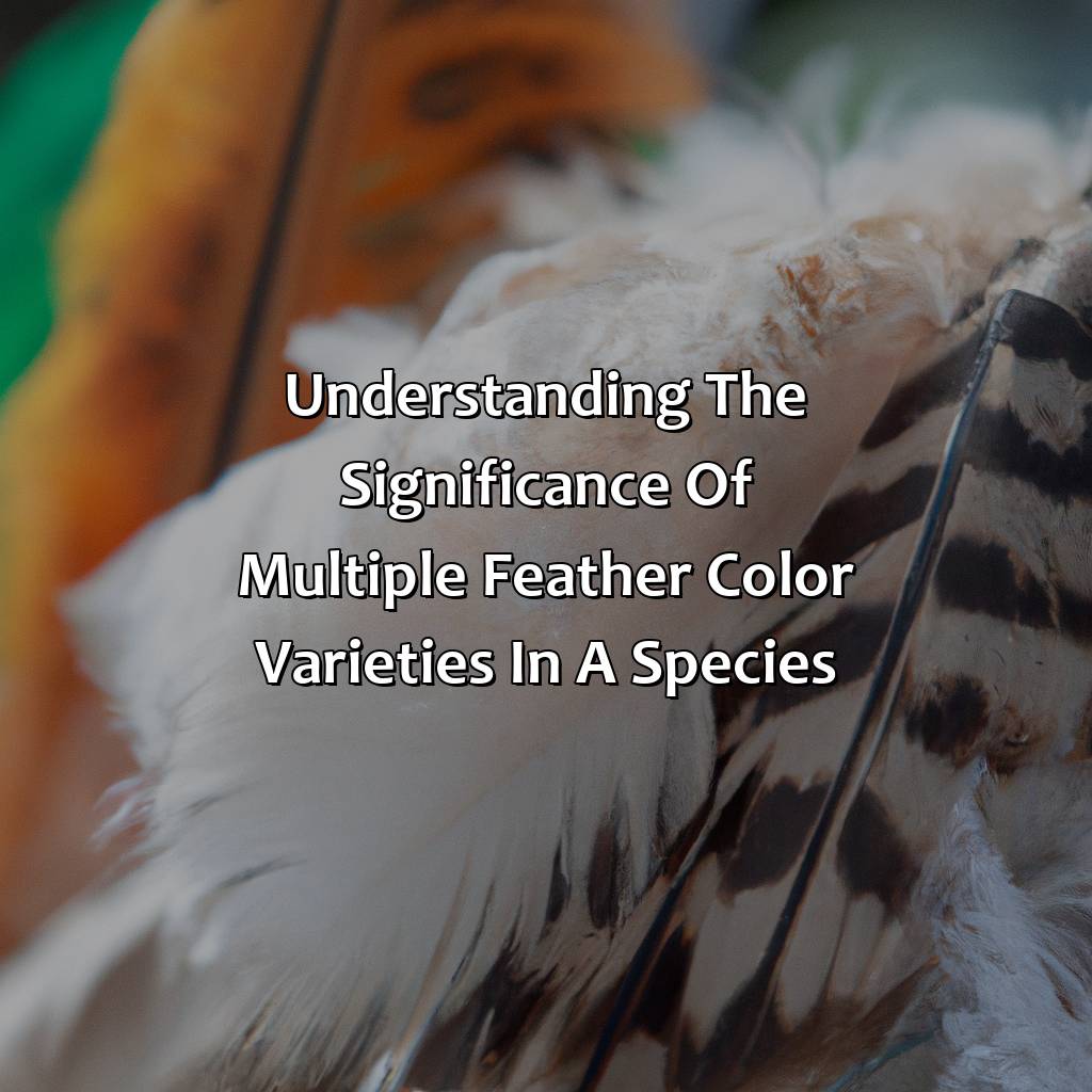 Understanding The Significance Of Multiple Feather Color Varieties In A Species  - In One Species Of Bird, There Are Three Varieties Of Feather Color. What Is This An Example Of?, 