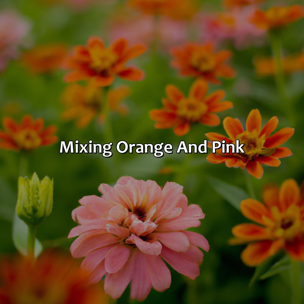 Mixing Orange And Pink  - Orange And Pink Make What Color, 