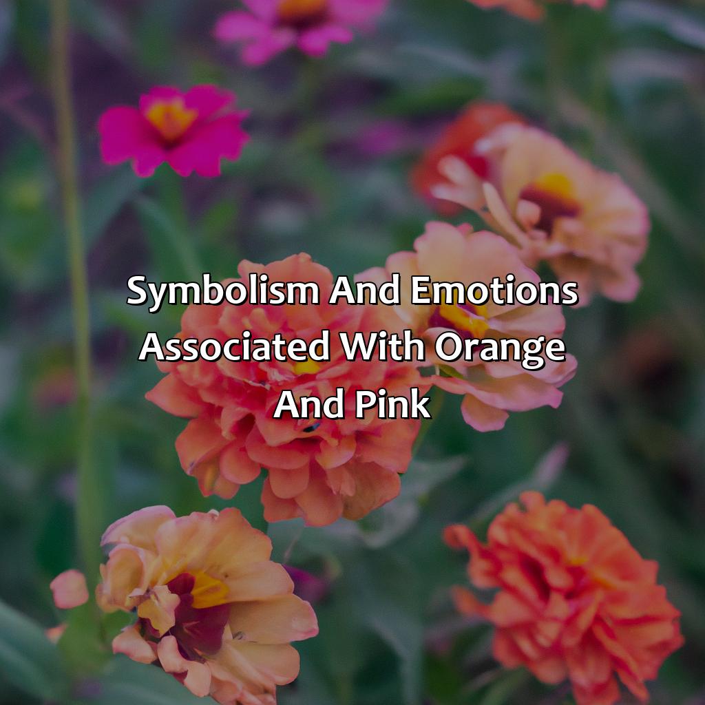 Symbolism And Emotions Associated With Orange And Pink  - Orange And Pink Make What Color, 