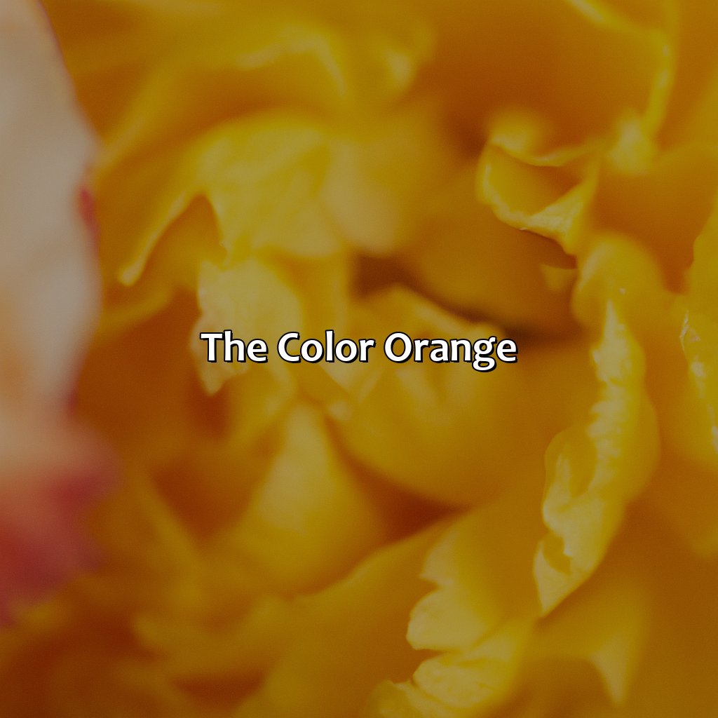 The Color Orange  - Orange And Yellow Is What Color, 