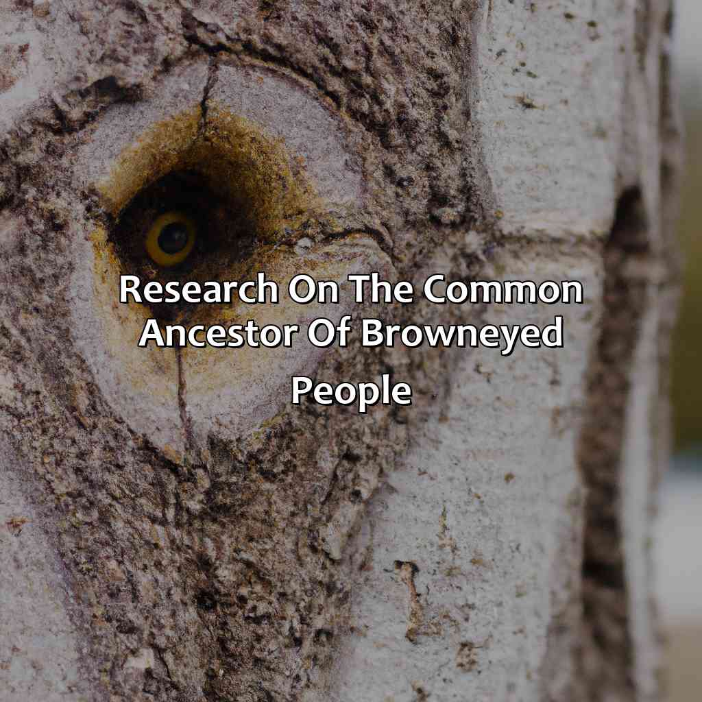 Research On The Common Ancestor Of Brown-Eyed People  - People With What Eye Color All Descend From A Single Common Ancestor?, 