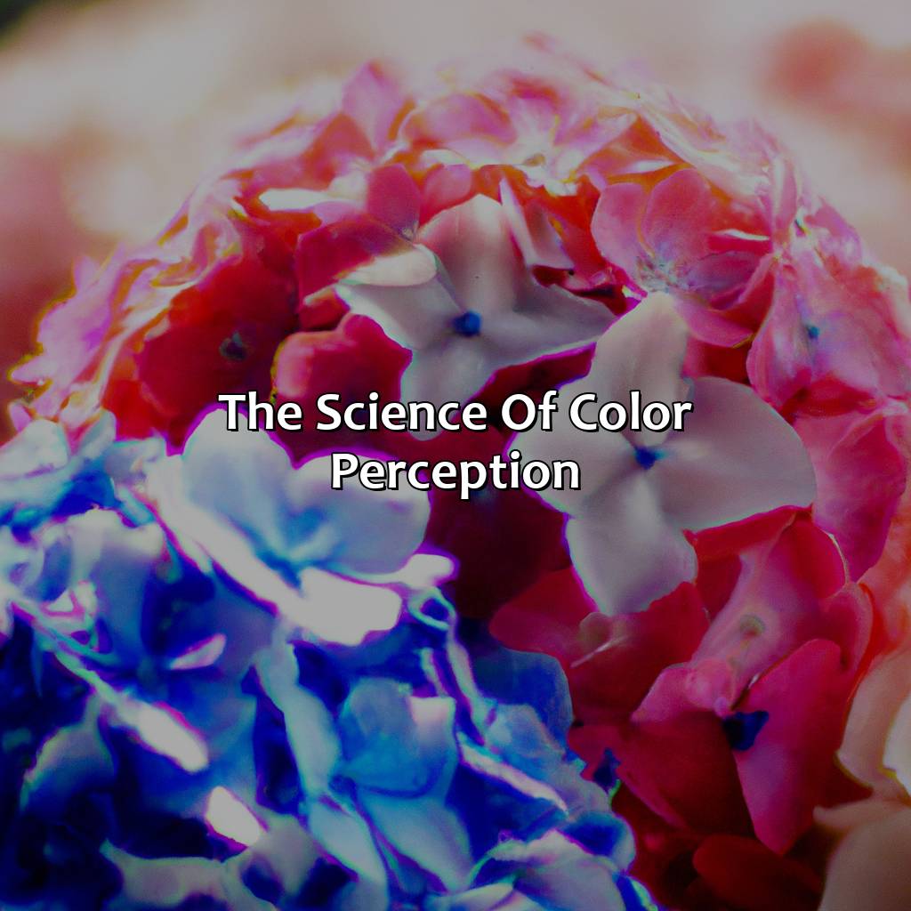 The Science Of Color Perception  - Pink And Blue Is What Color, 