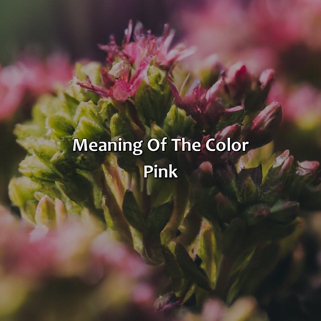 Meaning Of The Color Pink  - Pink And Green Is What Color, 