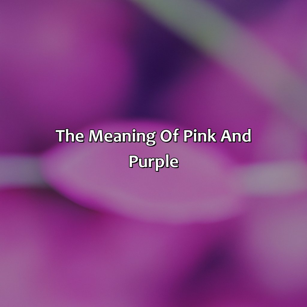 The Meaning Of Pink And Purple  - Pink And Purple Is What Color, 