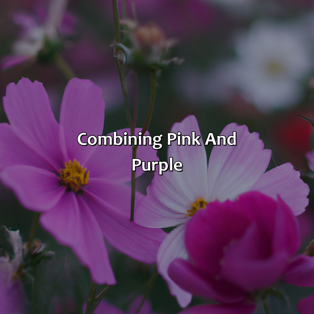 Combining Pink And Purple  - Pink And Purple Is What Color, 