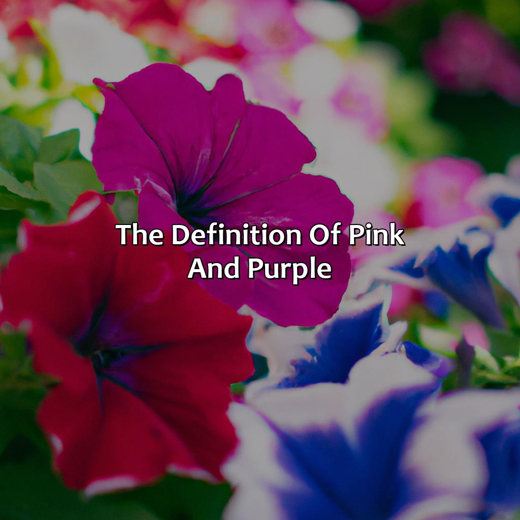 The Definition Of Pink And Purple  - Pink And Purple Is What Color, 