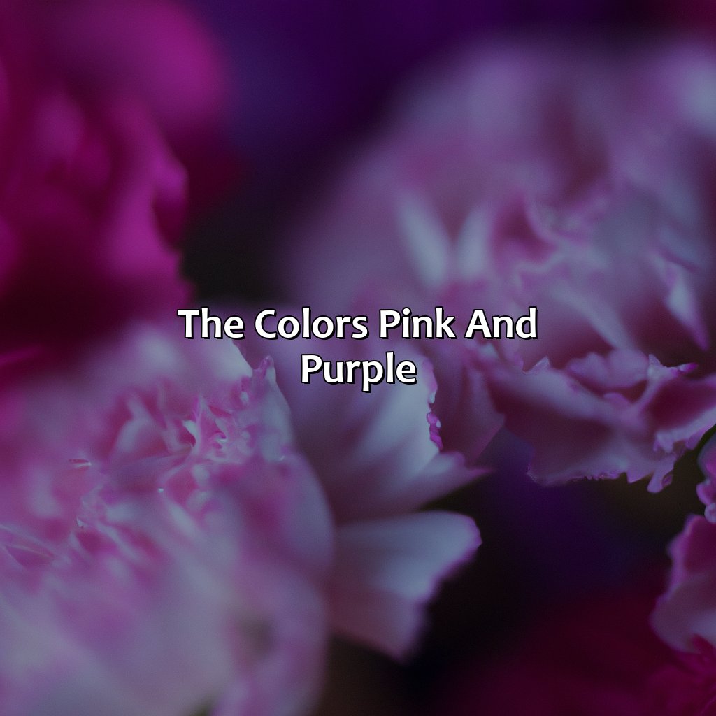 The Colors Pink And Purple  - Pink And Purple Make What Color, 