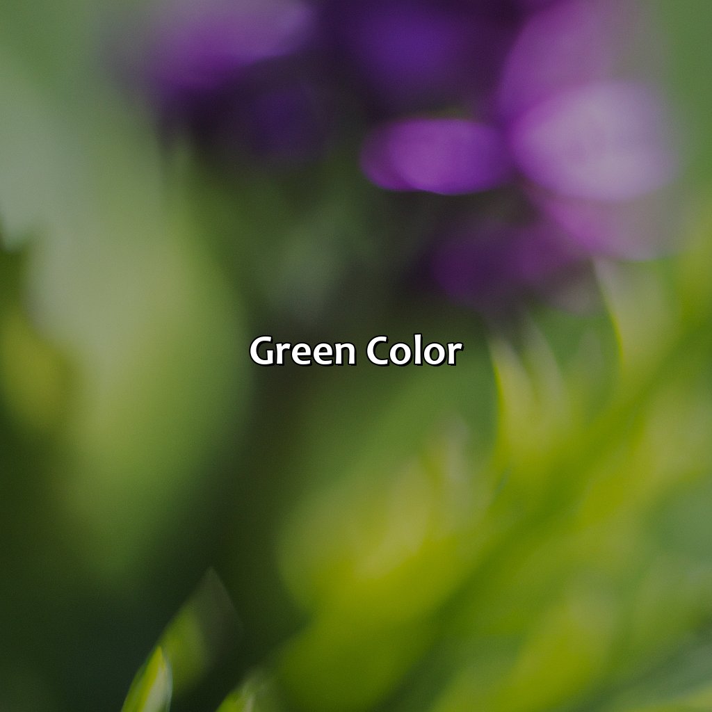 Green Color  - Purple And Green Is What Color, 