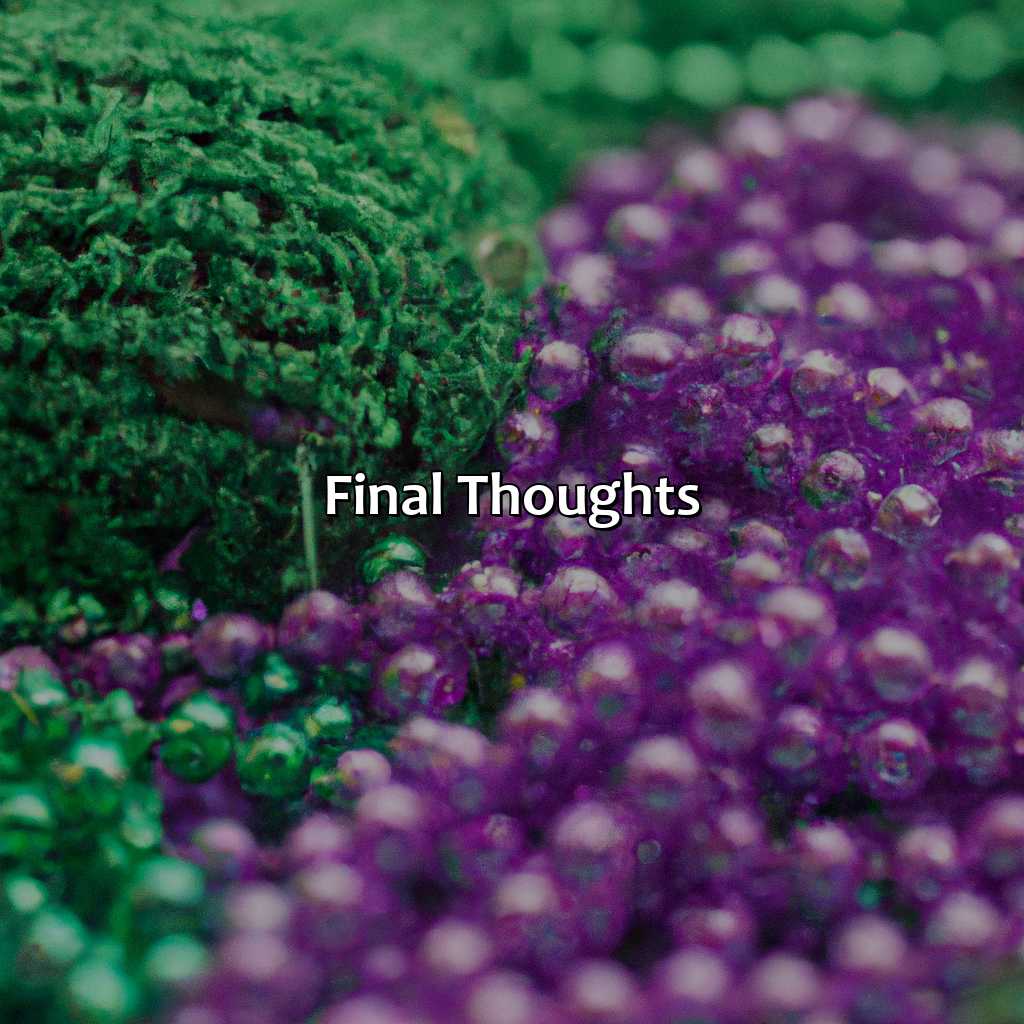 Final Thoughts  - Purple And Green Is What Color, 