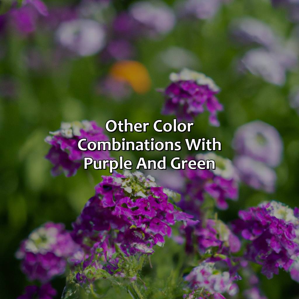 Other Color Combinations With Purple And Green  - Purple And Green Make What Color, 