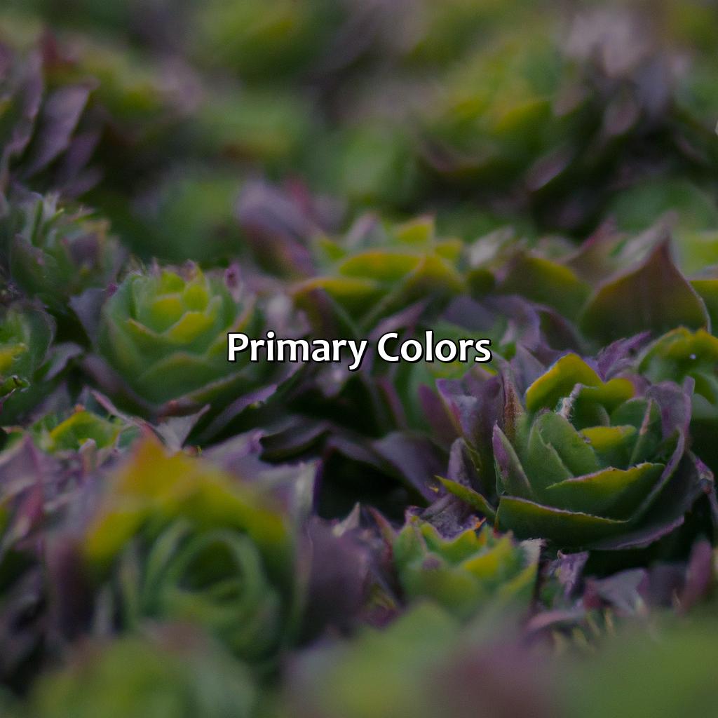 Primary Colors  - Purple And Green Make What Color, 