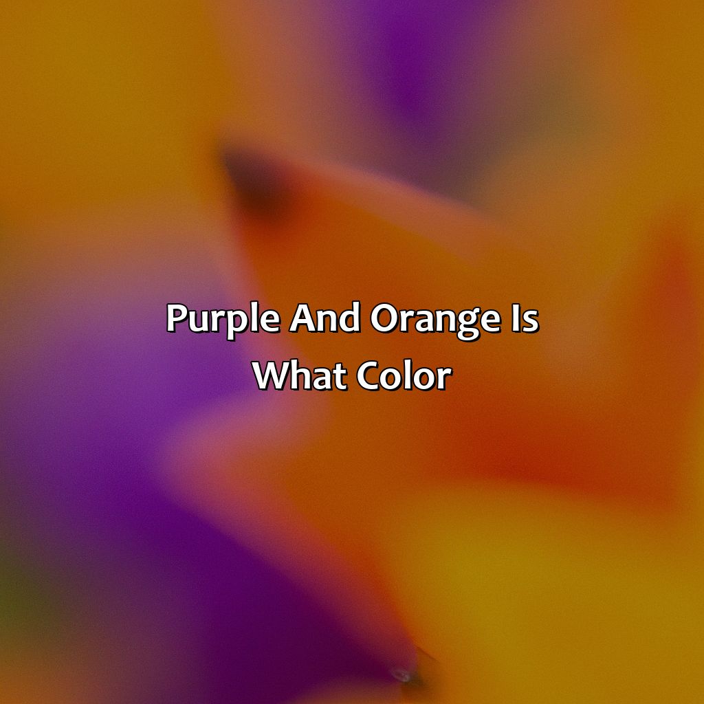 Purple And Orange Is What Color - colorscombo.com