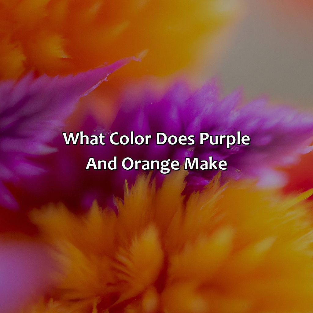 What Color Does Purple And Orange Make?  - Purple And Orange Make What Color, 